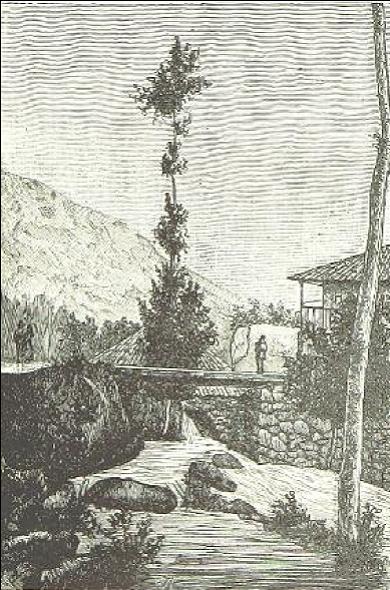 Dibujo publicado en 1886 representando el puente de Ponte Barxas/ O Minho Pittoresco