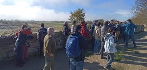 SEO Birdlife / Visita á Veiga de Gomareite, parte da antiga Lagoa de Antela