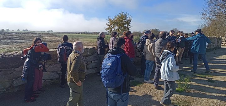SEO Birdlife / Visita á Veiga de Gomareite, parte da antiga Lagoa de Antela
